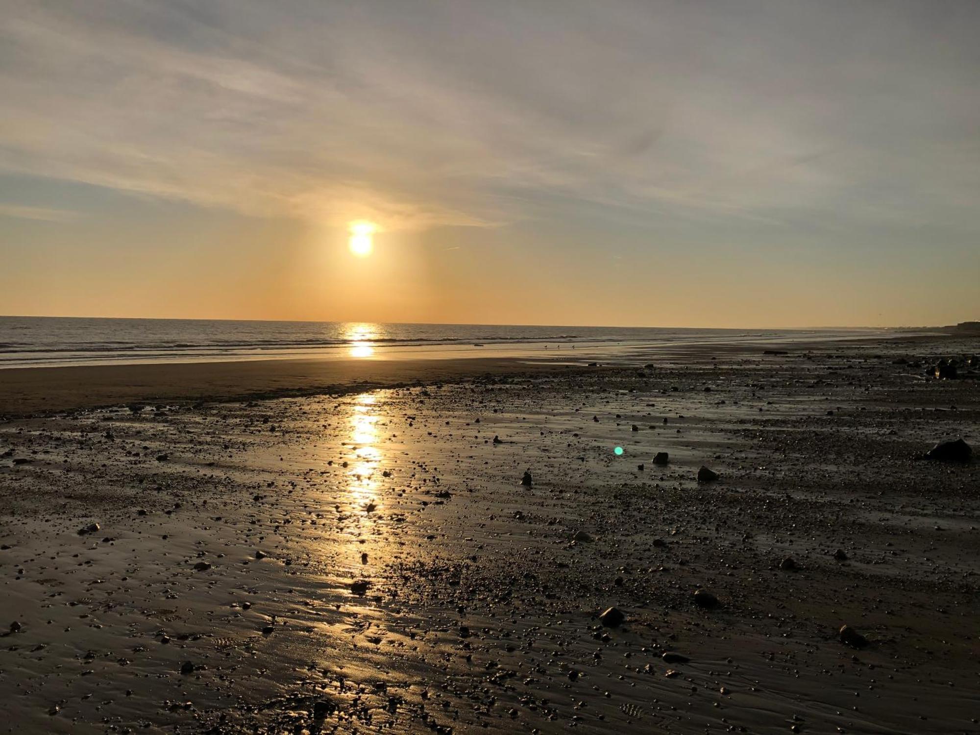 Nelly's Nest Bridlington